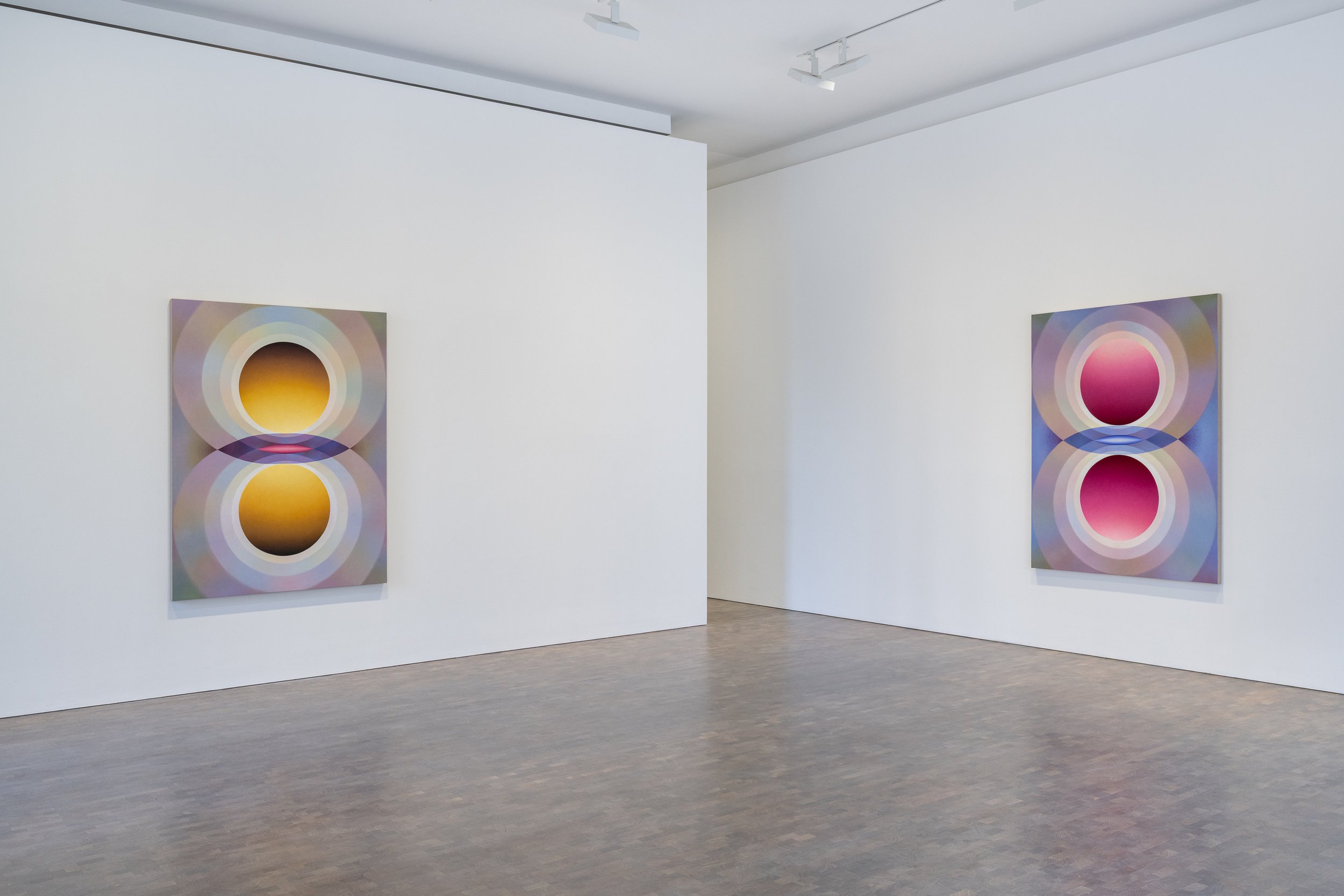   Installation View     Overview Effect   , Pace Gallery, London, UK  March 3 - May 23, 2026 