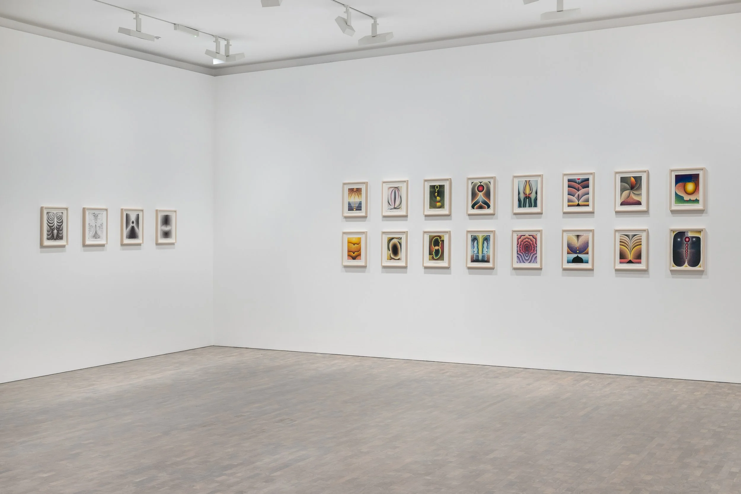   Installation View     Overview Effect   , Pace Gallery, London, UK  March 3 - May 23, 2026 