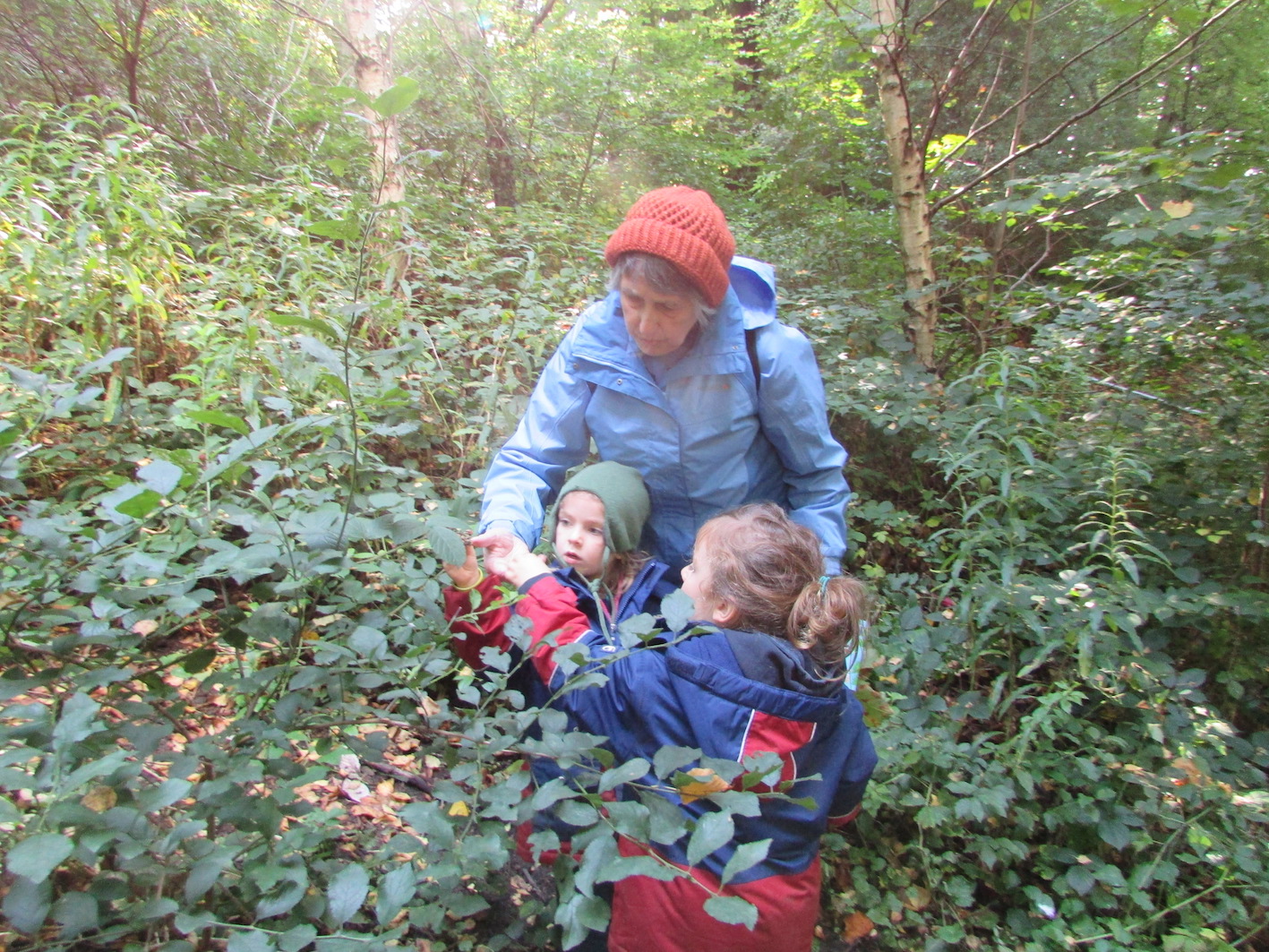 Picking blackberries with Sheila