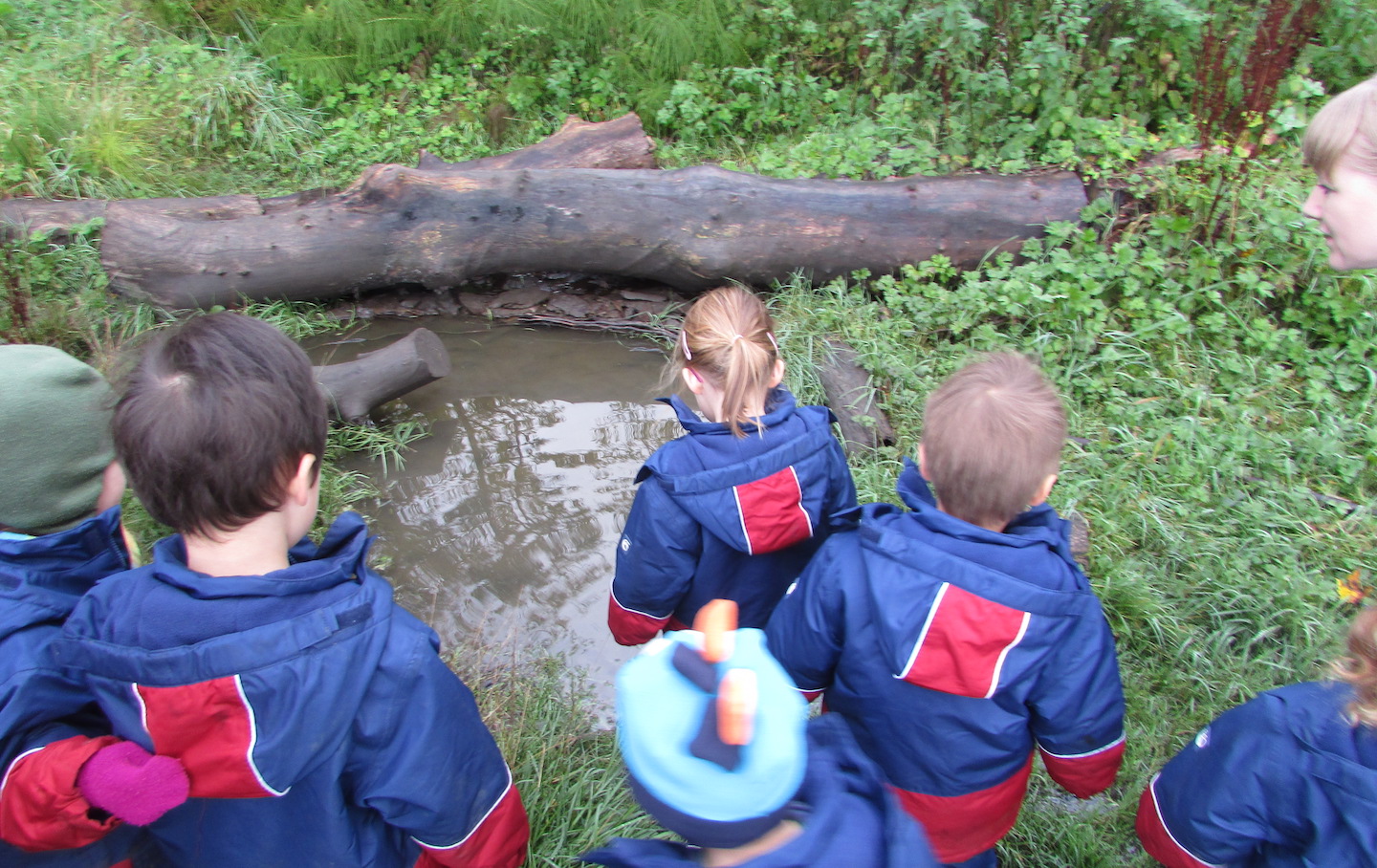Uh Oh, it’s not our tree, it’s surrounded by water!!