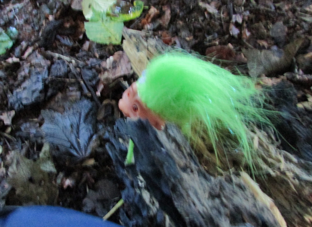 Can you see the Troll? He likes hiding!