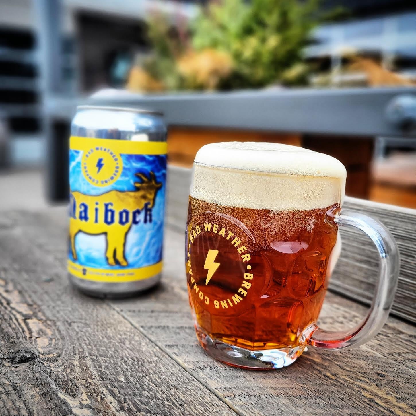 Happy Friday! Our Maibock is officially out today on tap and in crowlers. Hopefully it's a proper sign that spring will stick around this time. 

&quot;First made by brewers in Einbeck Germany, then adopted by Munich brewers. A springtime release aft