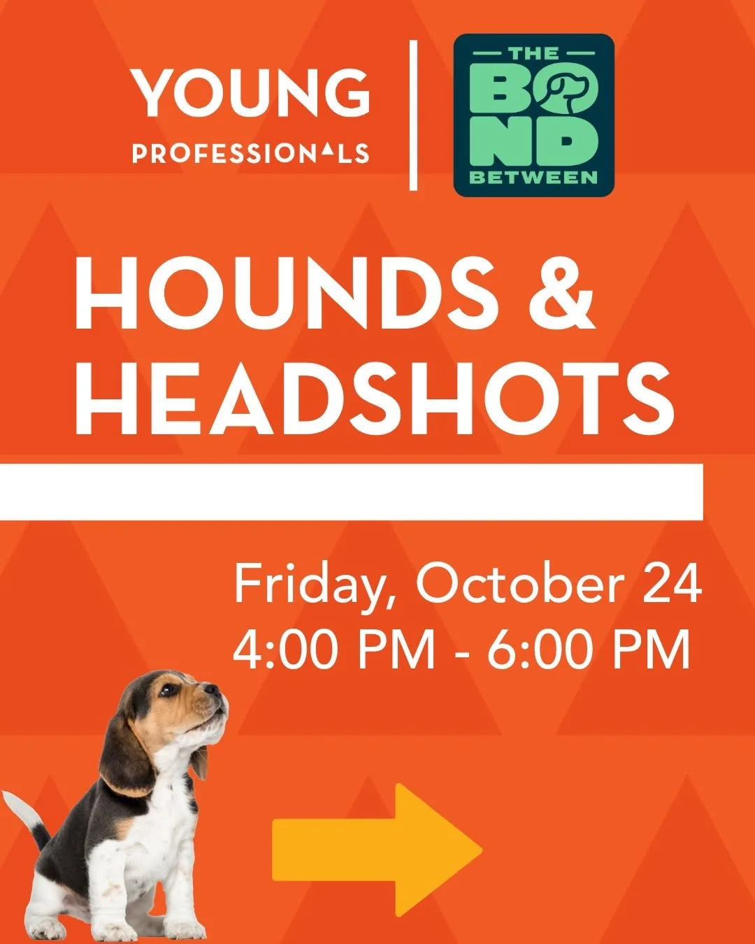 Looking to refresh your professional image while having fun? Join @stpaulchamber this Friday October 24th from 4 PM to 6 PM! 🐶✨ Enjoy networking with Twin Cities young professionals, get an updated headshot, and meet adorable adoptable puppies broug