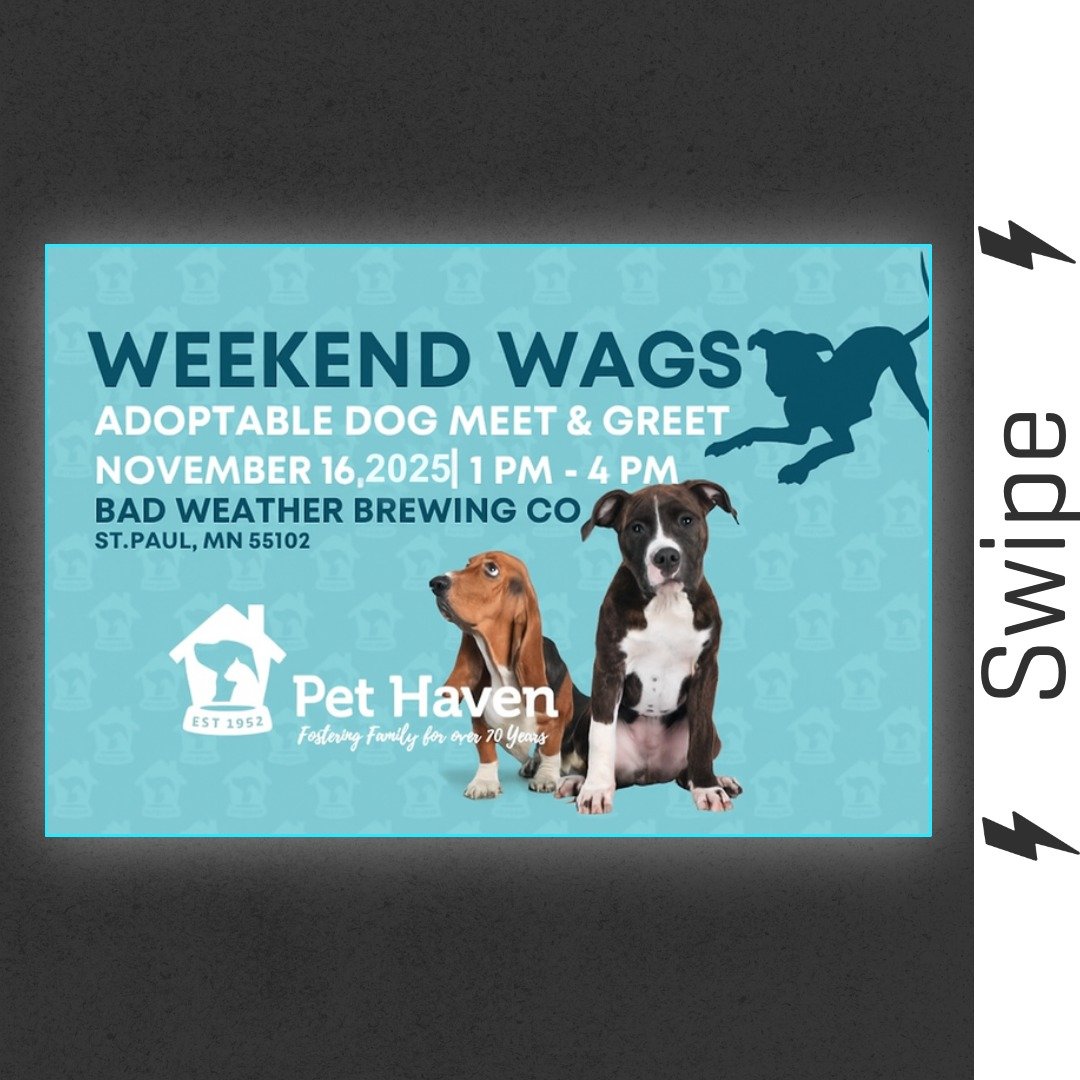 @pethavenmn  is bringing some pups to the Taproom Sunday (1-4pm) for an adoptable meet and greet. 

Meet some pups and chat with the folks from Pet Haven and maybe you will help one find a forever home.