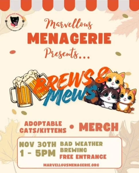 Join us at the taproom on Sunday for a fundraising/adoption event with Marvelous Menagerie. They will be bringing 7 adoptable cats for you to meet!