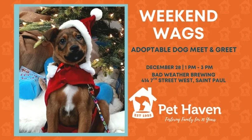 Adoptable dog meet and greet Sunday from 1-3. 

Meet some pups, have a beer and maybe just maybe help them find a forever home.