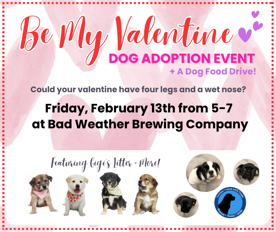 Be My Valentine Dog Adoption + Dog Food Drive