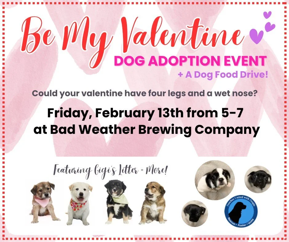 Friday 5-7, come cuddle some adoptable pups and bring a bag of dog food as a donation to support the families in need.