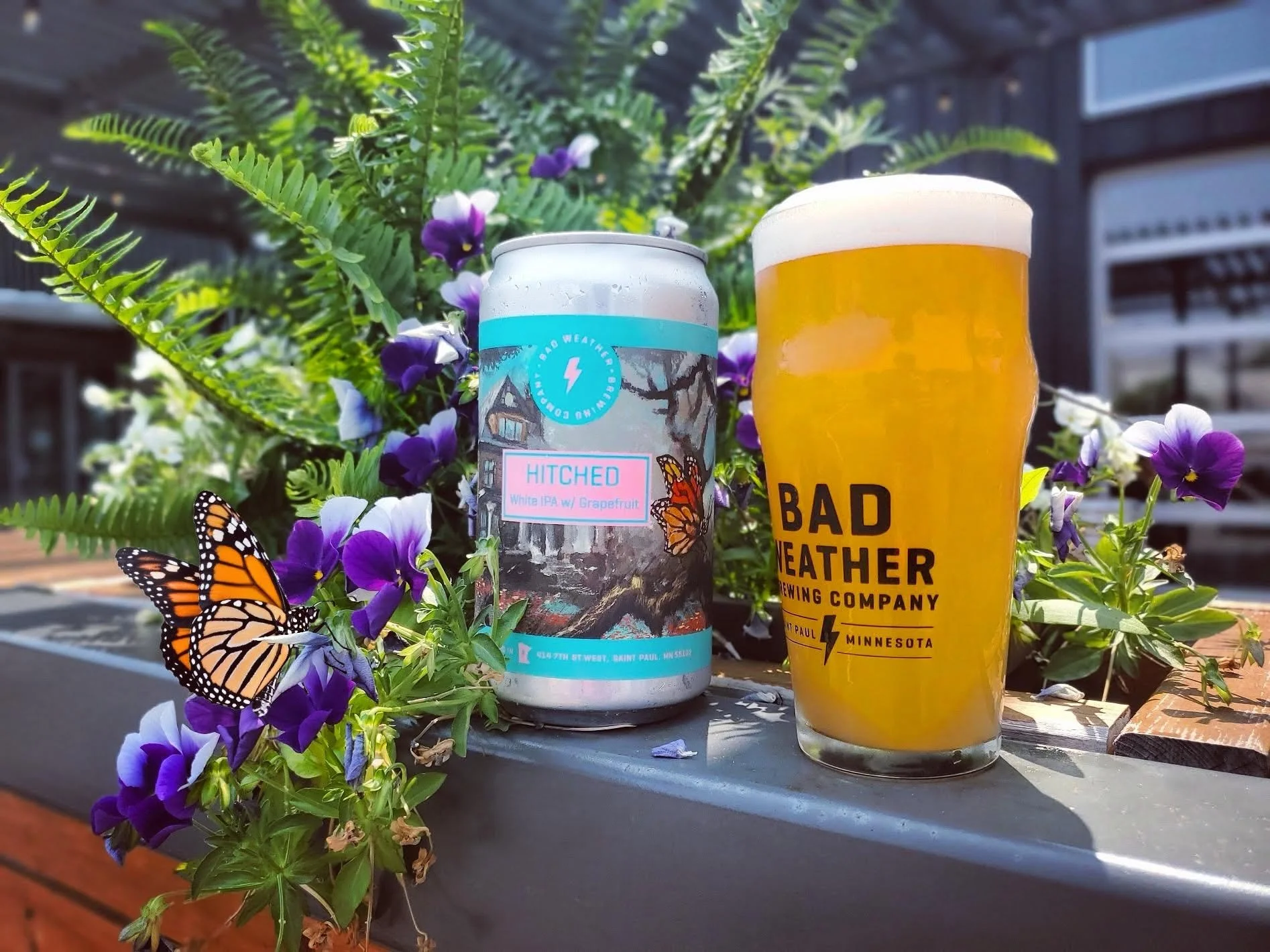 Hitched - Grapefruit Belgian White Tap &amp; 6-Pack Release! 