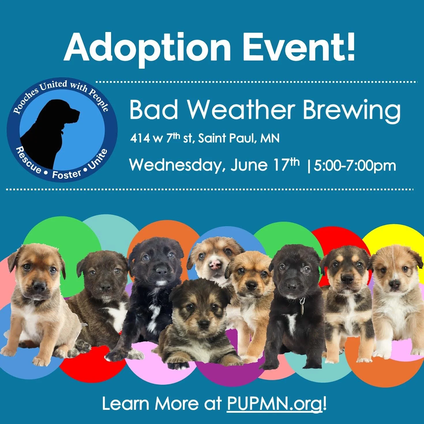 Pup Adoption Event