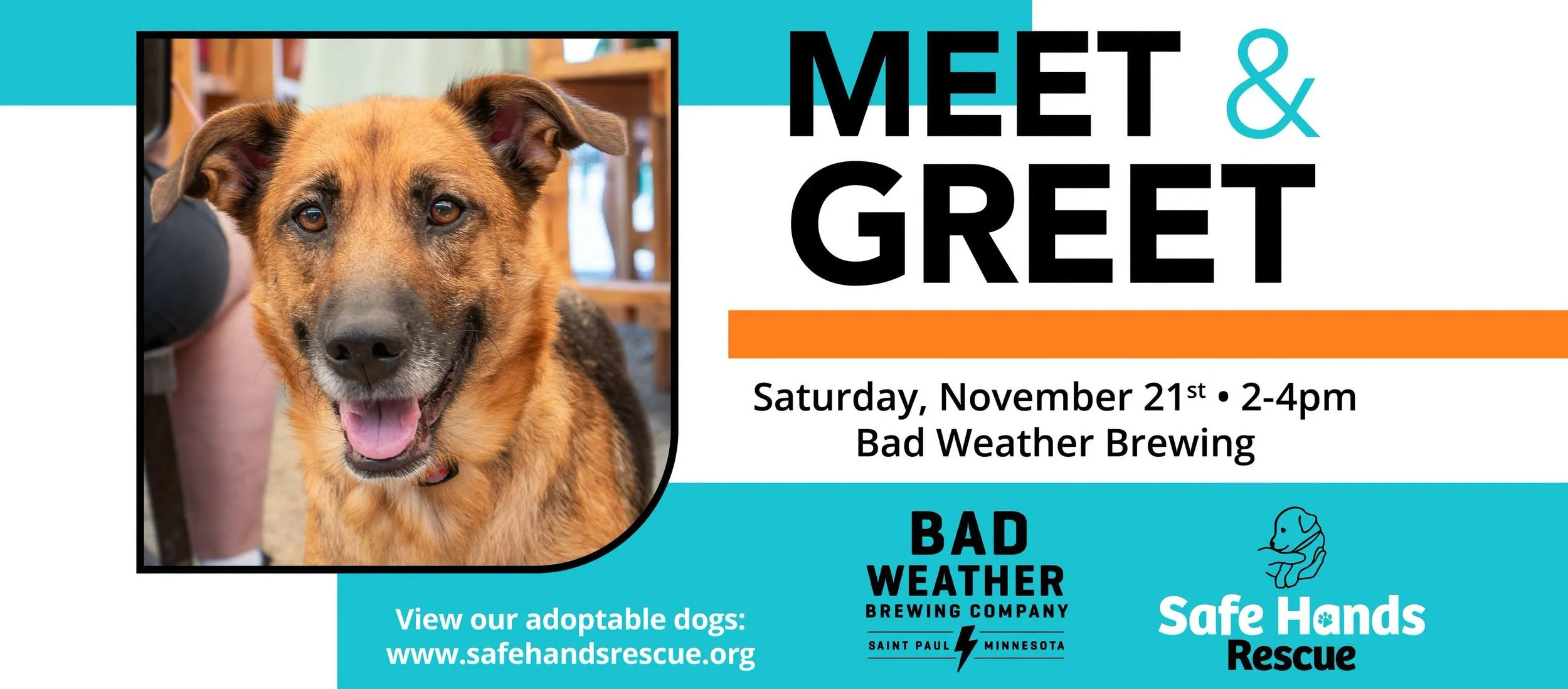 Adoptable Dog Meet &amp; Greet