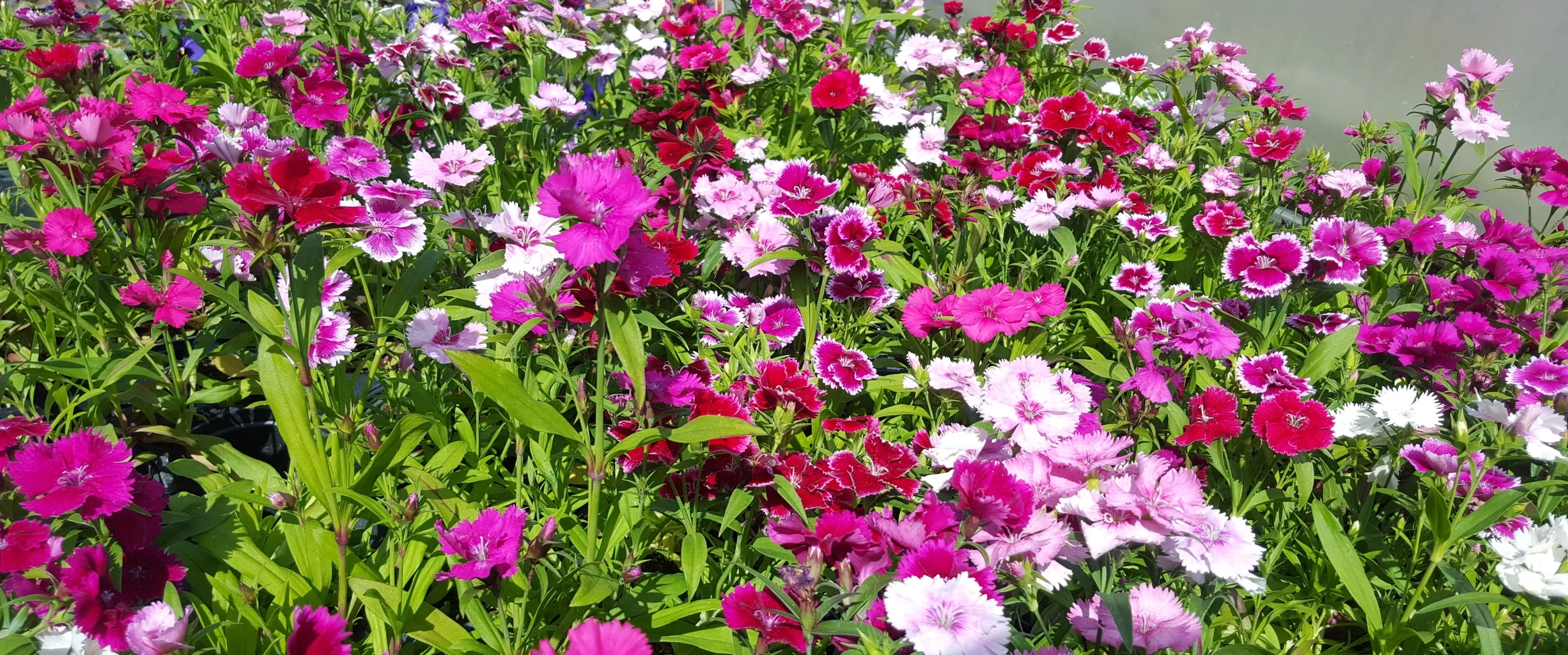 20150503_143406.jpg