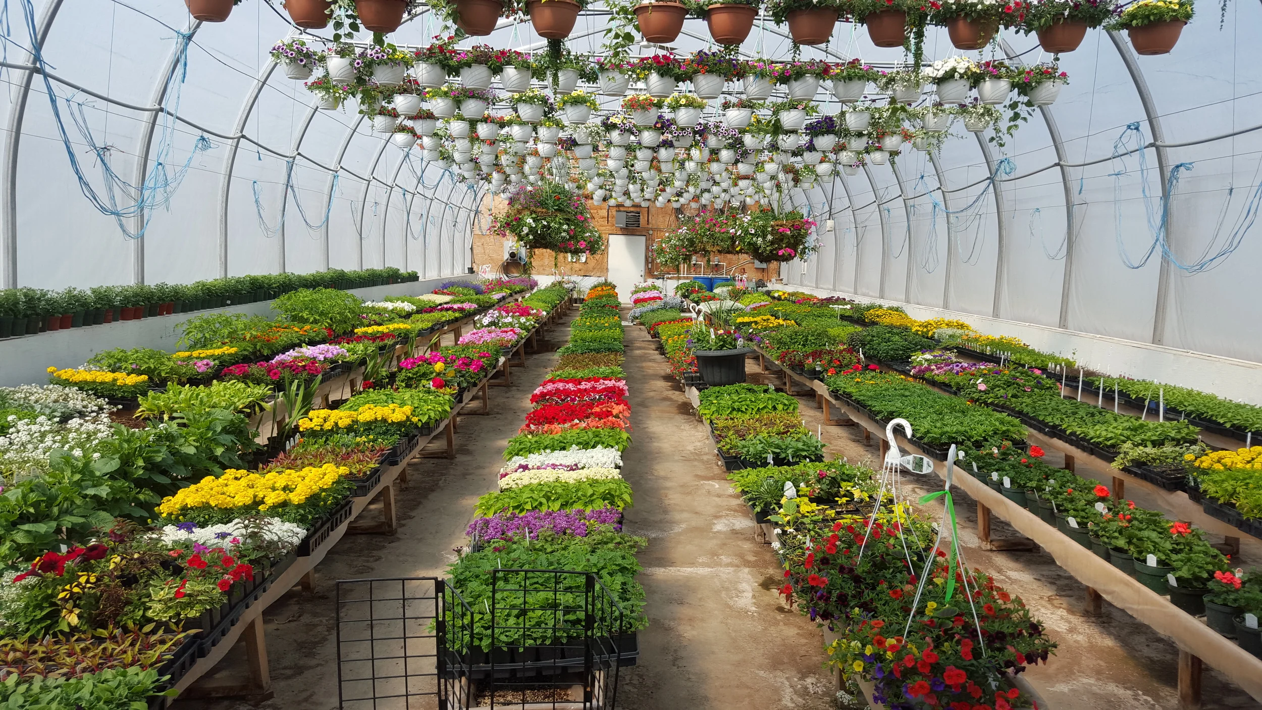 20150503_144000.jpg