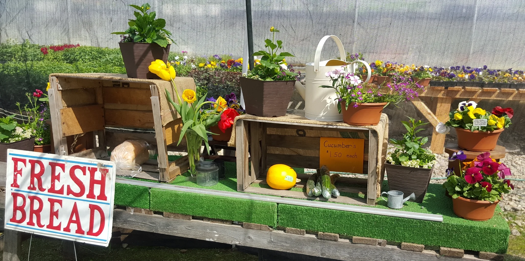 20150503_143150.jpg