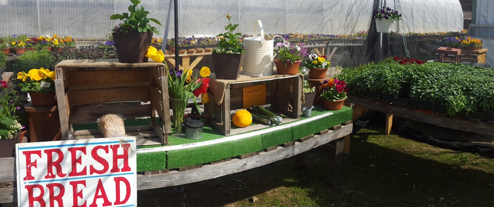 20150503_150709.jpg