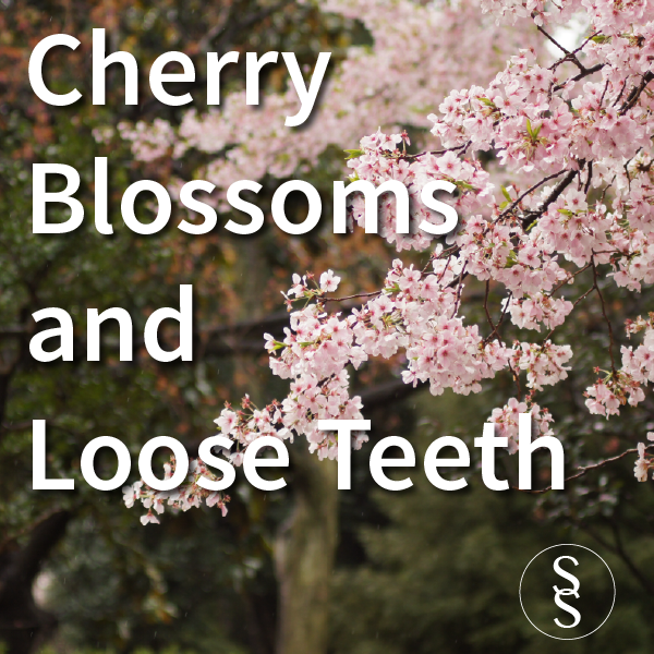 Cherry Blossoms and Loose Teeth