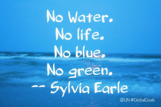 Global Goal 14: Life Below Water