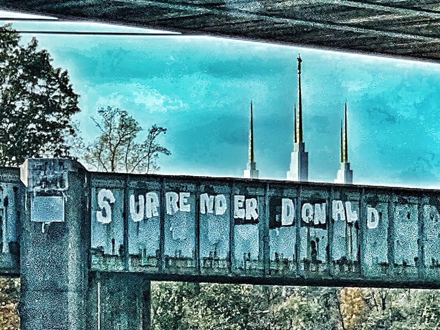 Surrender_Donald.jpeg