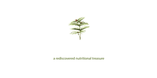 California_logos_Sciadonics-small.png