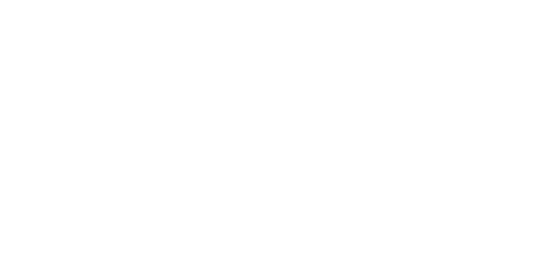 bias.png