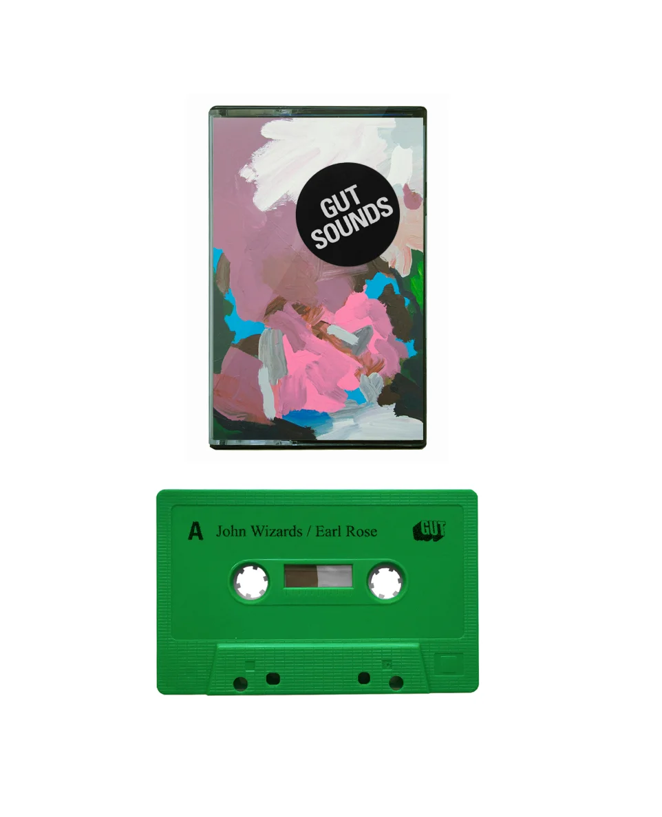 gut_cassette_ii.jpg