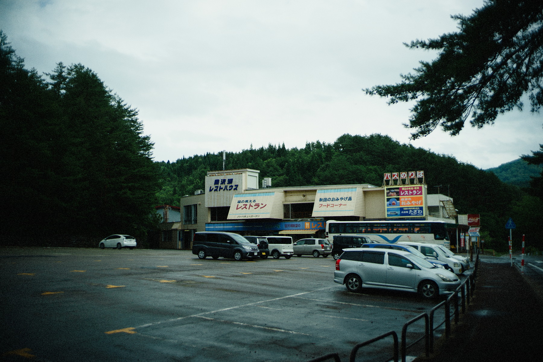 resizeDSC06214-290.jpg
