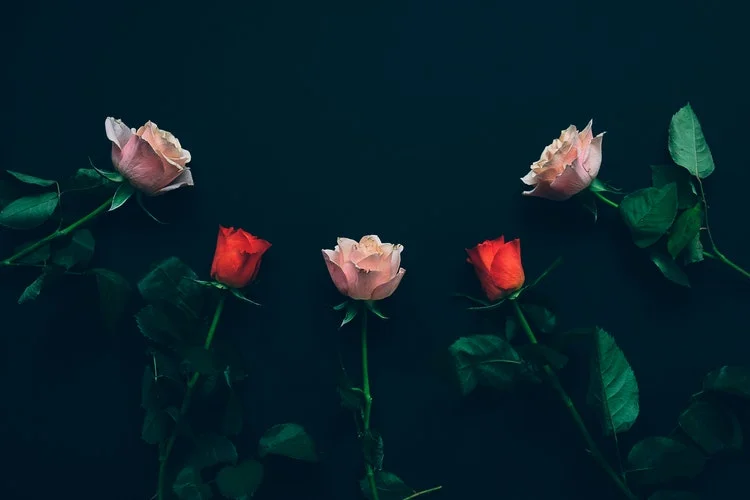 Rose Ritual.jpeg
