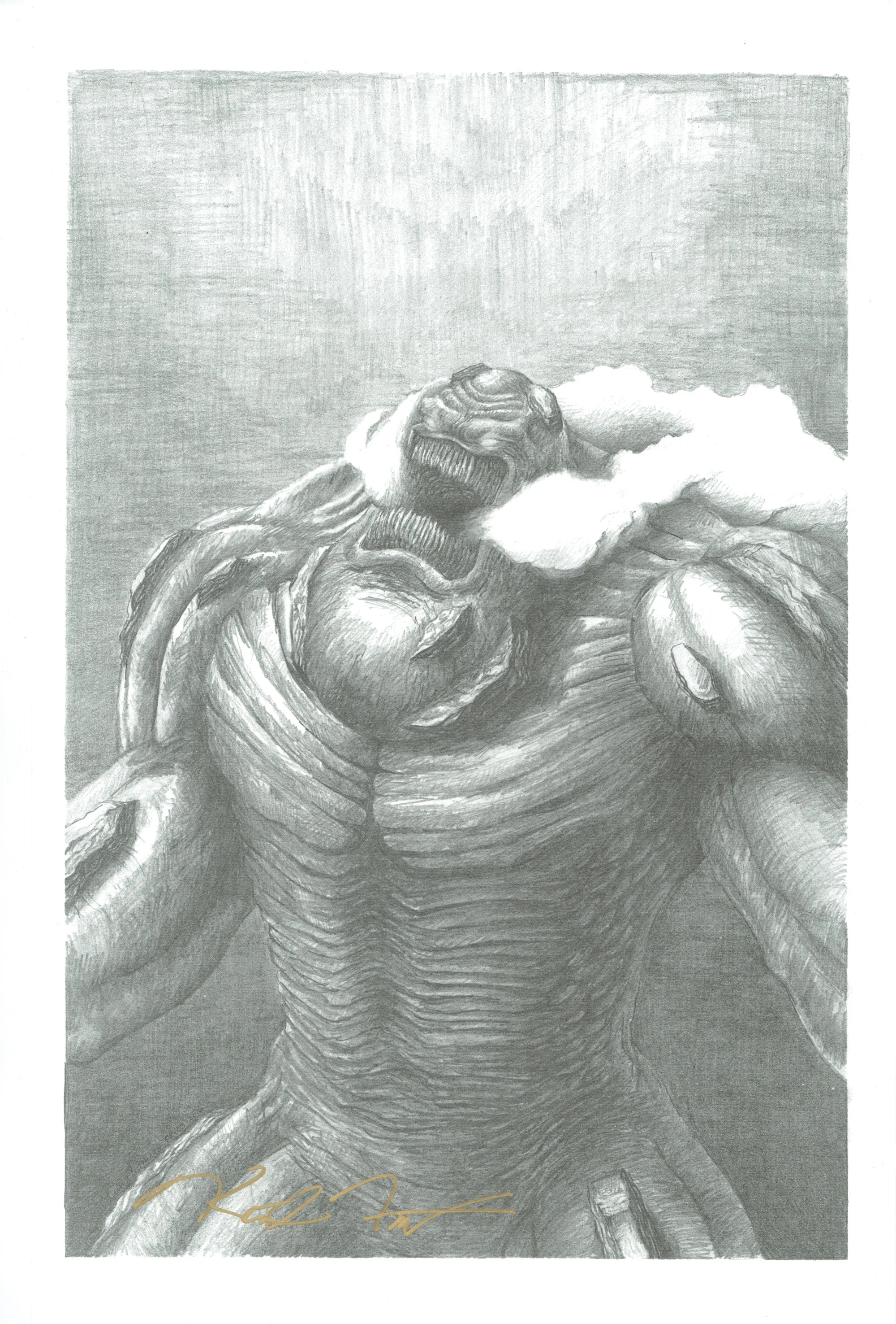 An unused Kodoja cover.