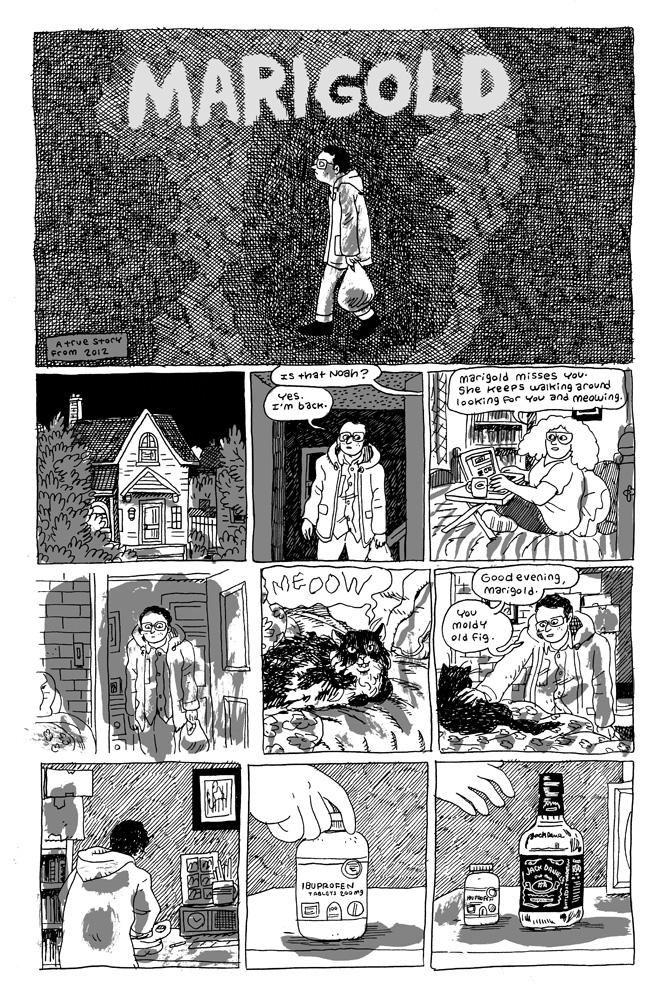 Marigold pg1, written & drawn by Noah Van Sciver.