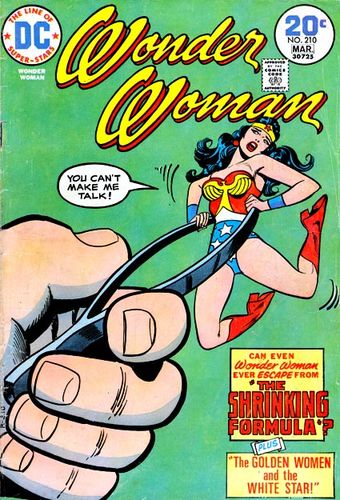 Wonder Woman (1942) #210, cover by Ric Estrada.