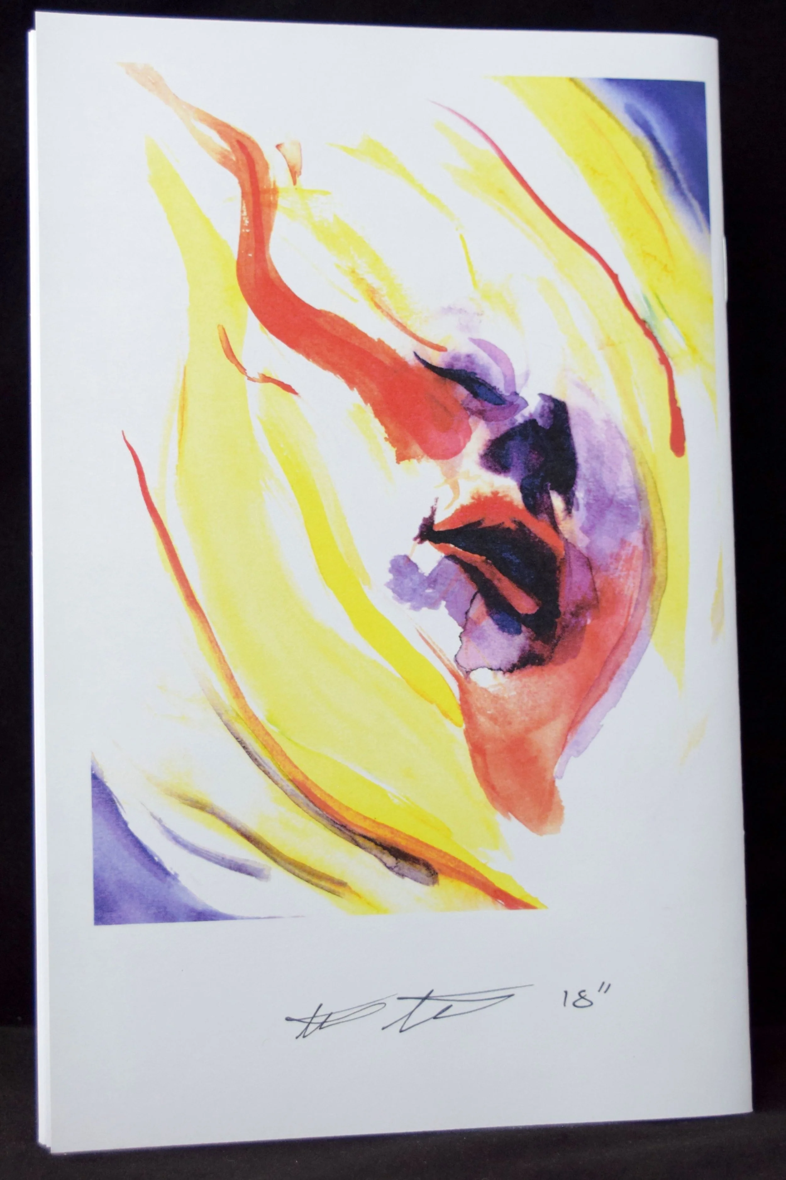 Amelia (2018) #1 by Thea J. Hunt. (back cover)