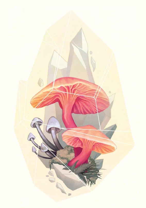 Art by Sarah Menzel.