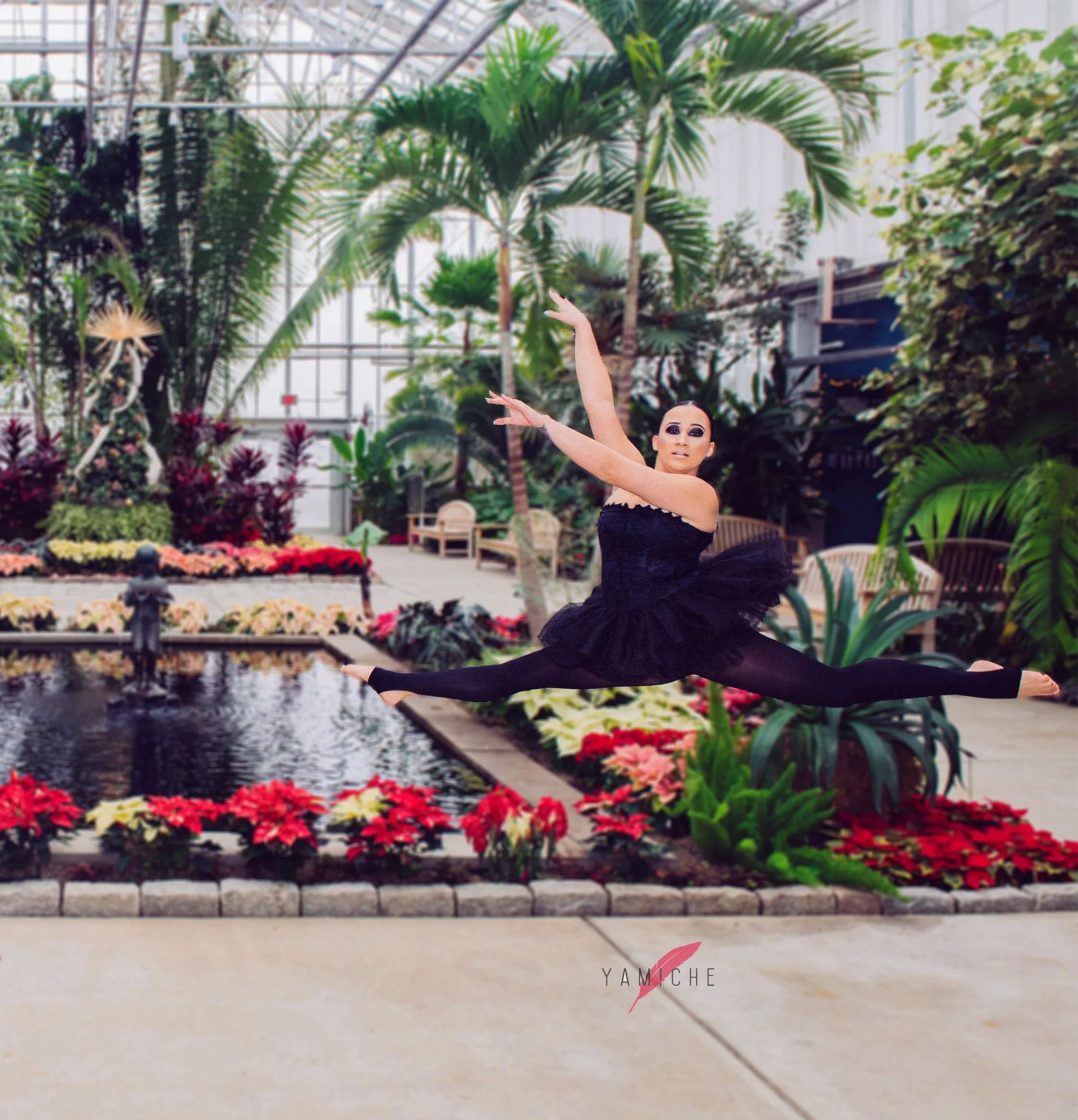 jump black swan 8 by 11.jpg