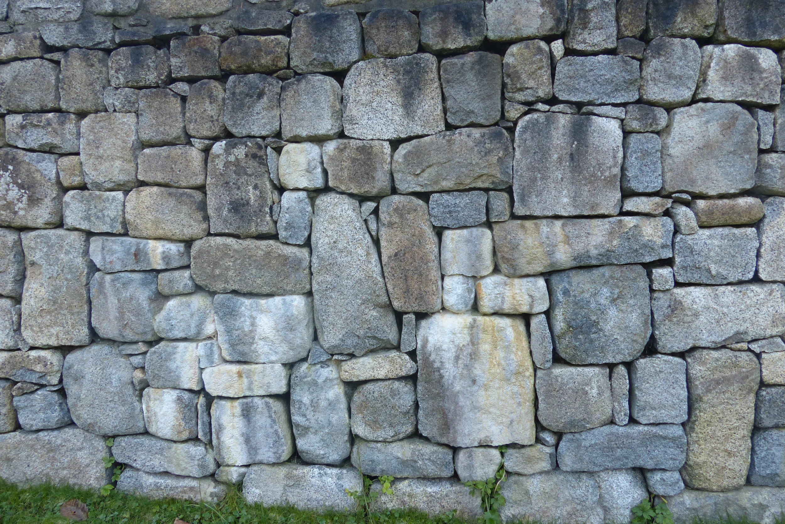 P1010824.JPG