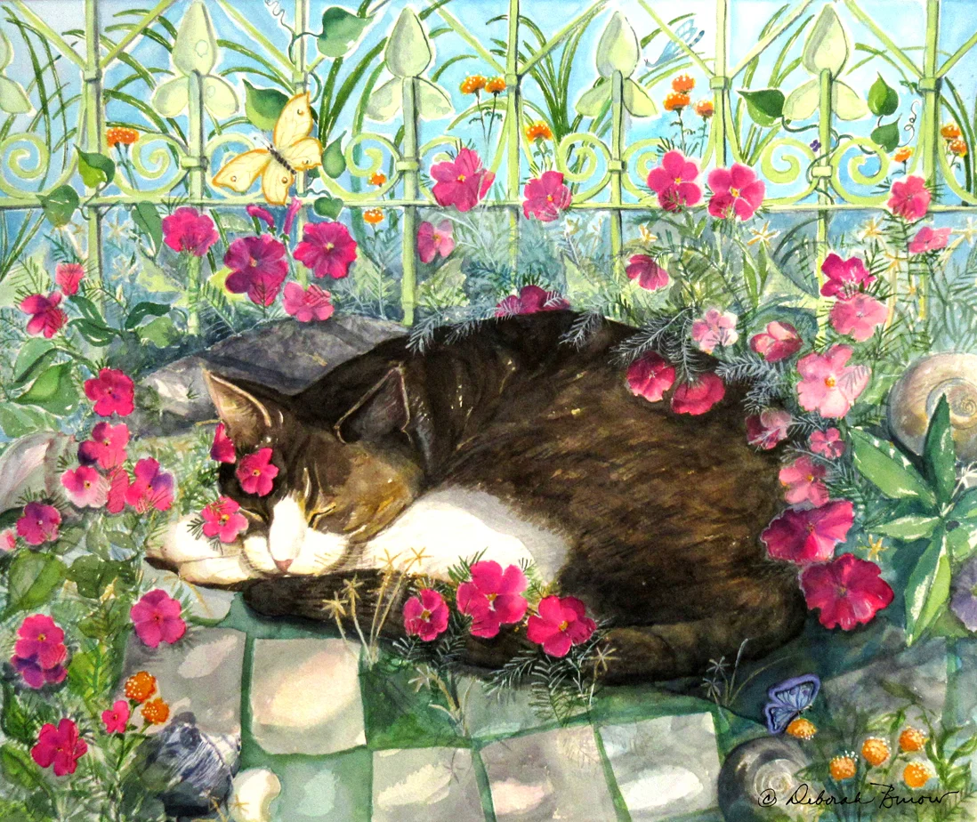 Cat Nap