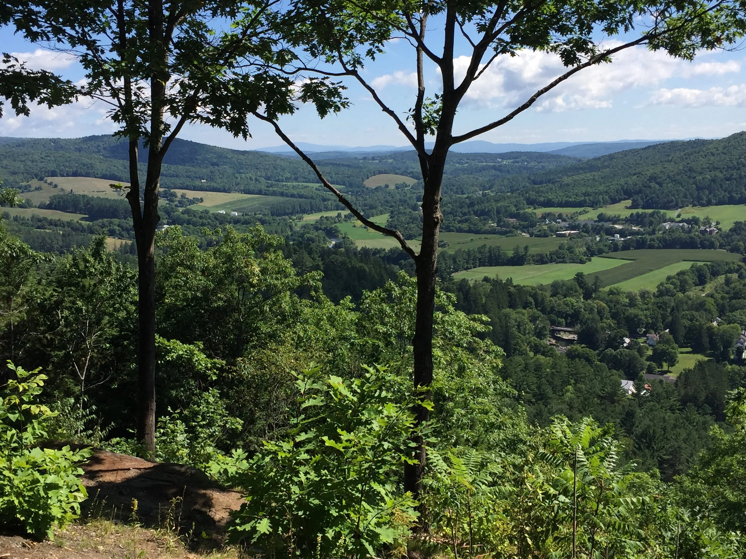 I need to take this trip one more time to really get my bearings about what I am looking at; where exactly we biked. While on the bikes we had to keep our eyes on the map. When we get an overview like this, it changes one's perspective.
