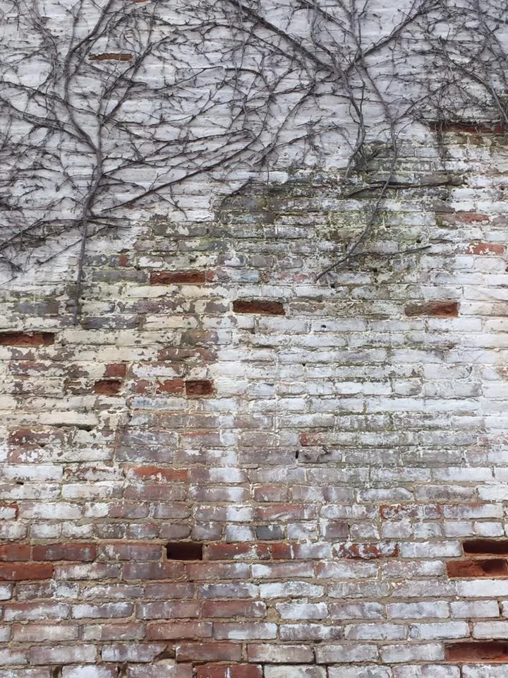 Art growing on the brick walls.