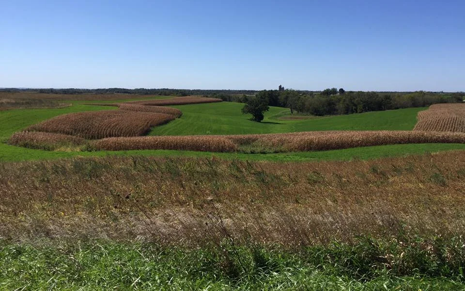 The fields of soybeans, corn, and alfalfa were ready to be harvested