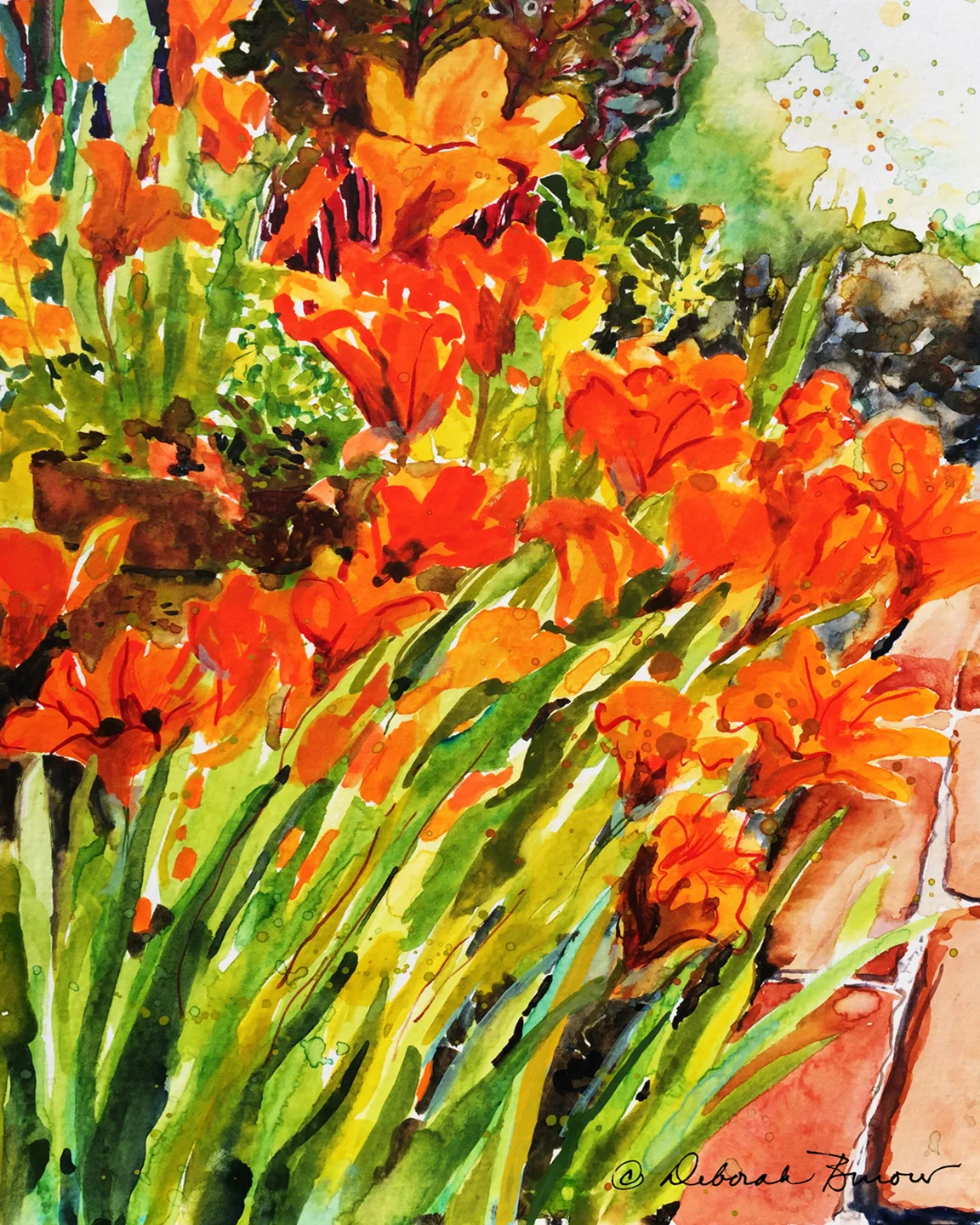 Orange Lilies