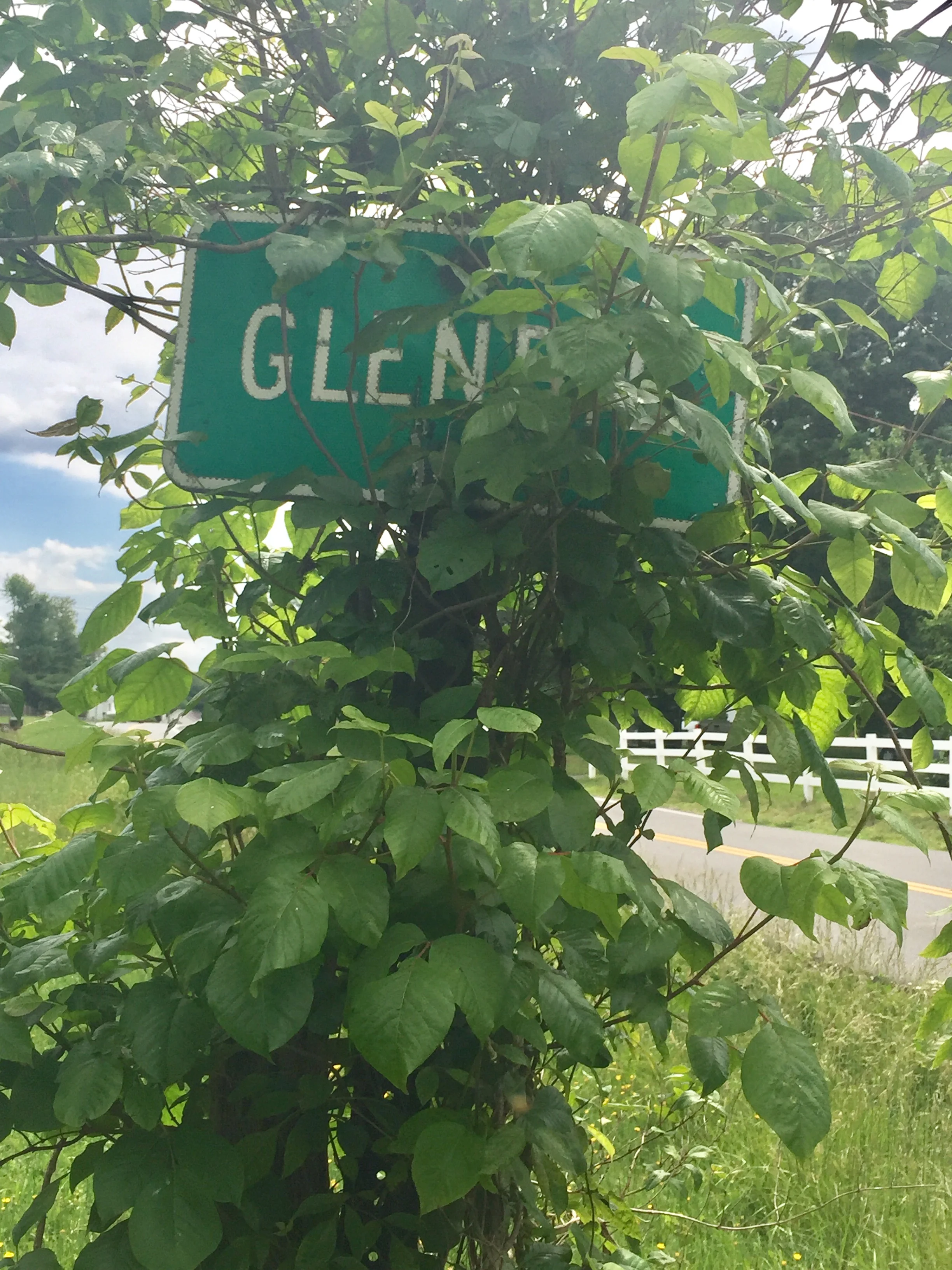 Dave and I decided to meet at the town of Glendie, VA. I can't imagine how I could have missed the town sign. Fortunately Google said, "In 50 feet your destination will be on the left. You have arrived."