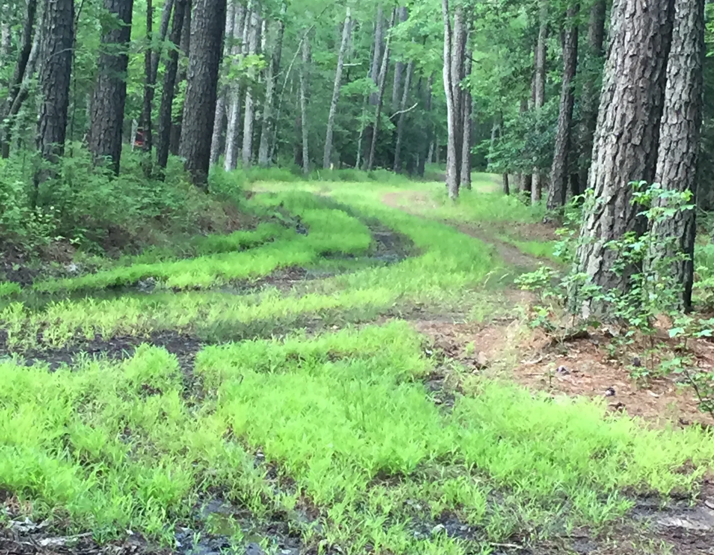 George Washington walked this trail.