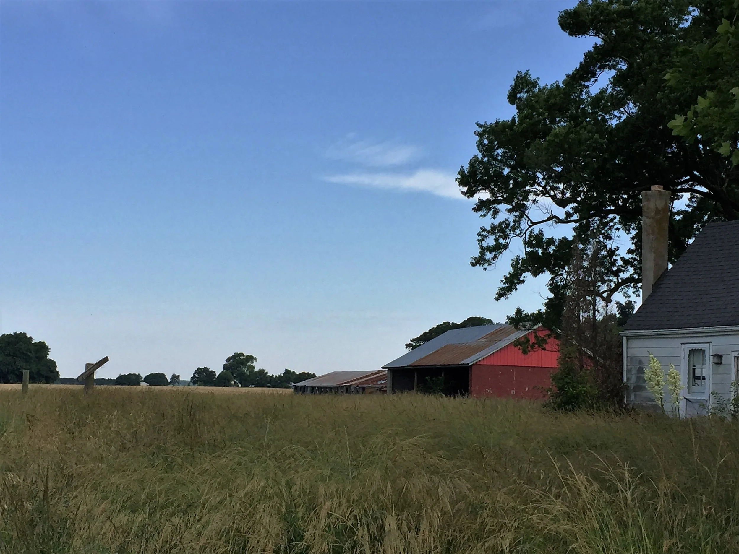 Perfect day in the country.
