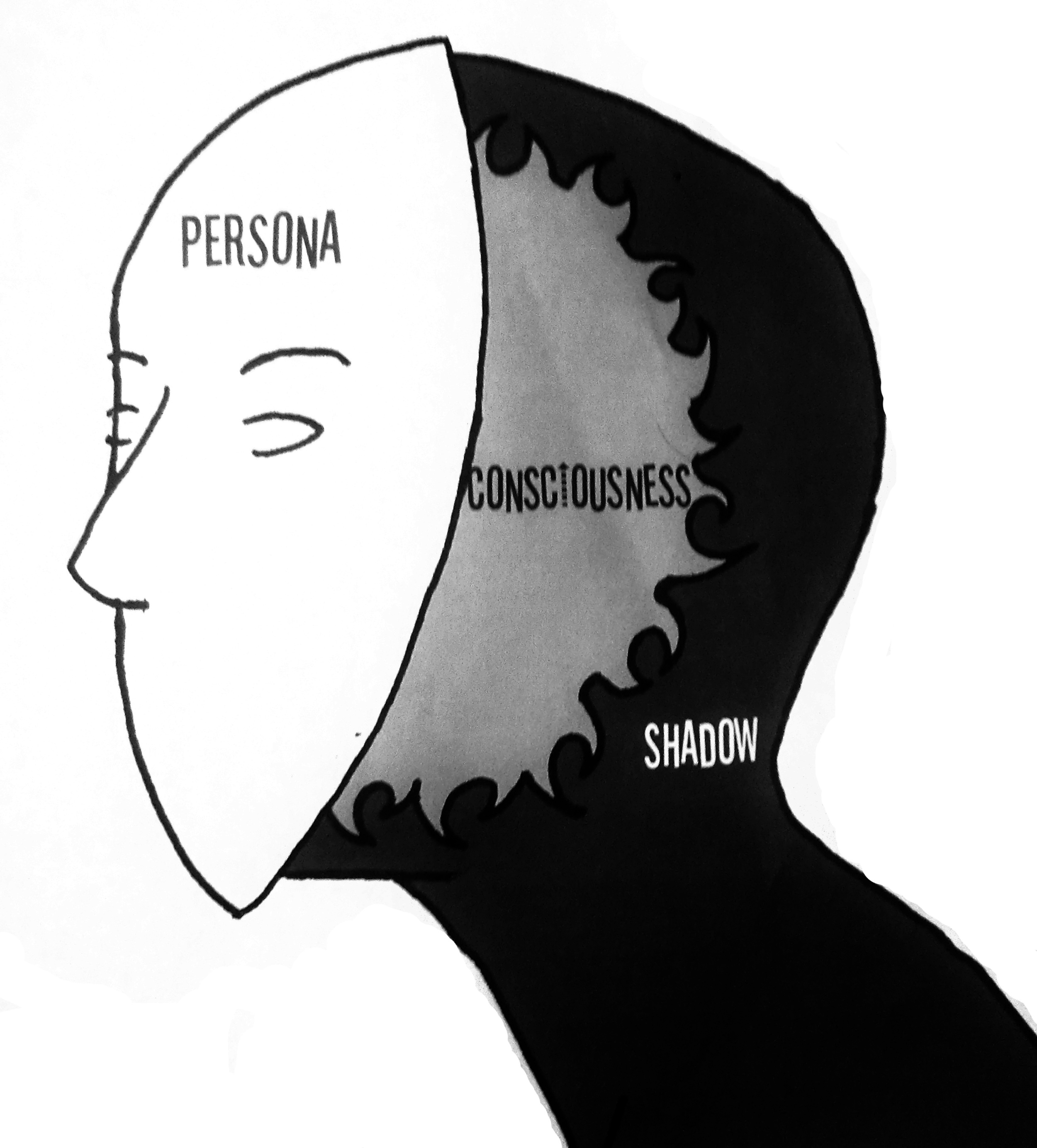 Persona, Consciousness, Shadow