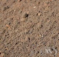 chocolate loam.jpg