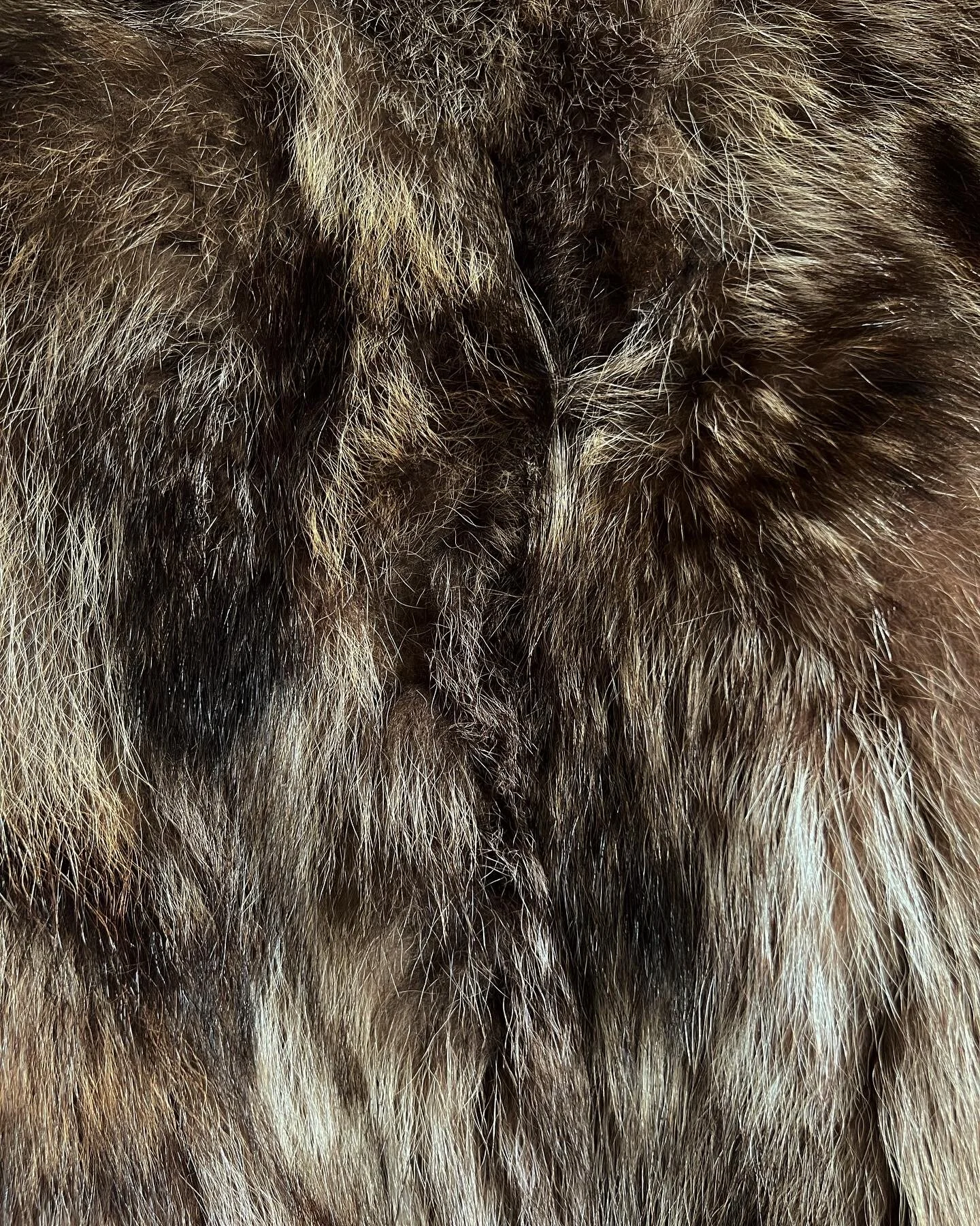 6DE97B52-FE73-433A-A2E1-91810C58B3C7