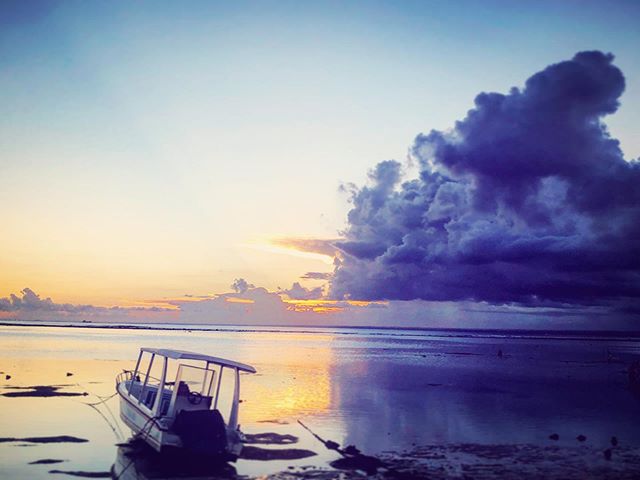 Tell me, what is it you plan to do with your one wild and precious life?
#heiditravels #cryptotips #travel #explore #liveitup #onelife #livewell #nusalembongan #indonesia
