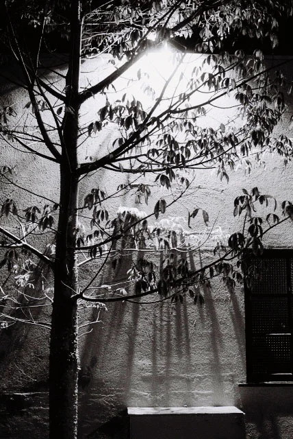 lonely-bench-web.jpg