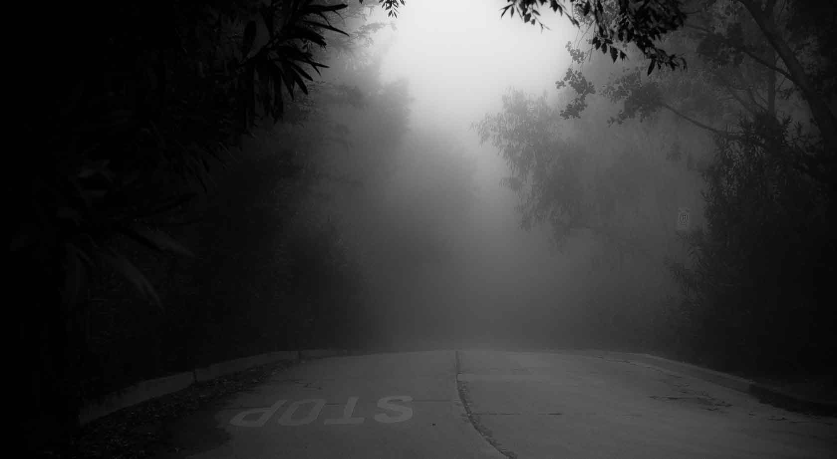 Hollywood Hills Foggy Road.jpg