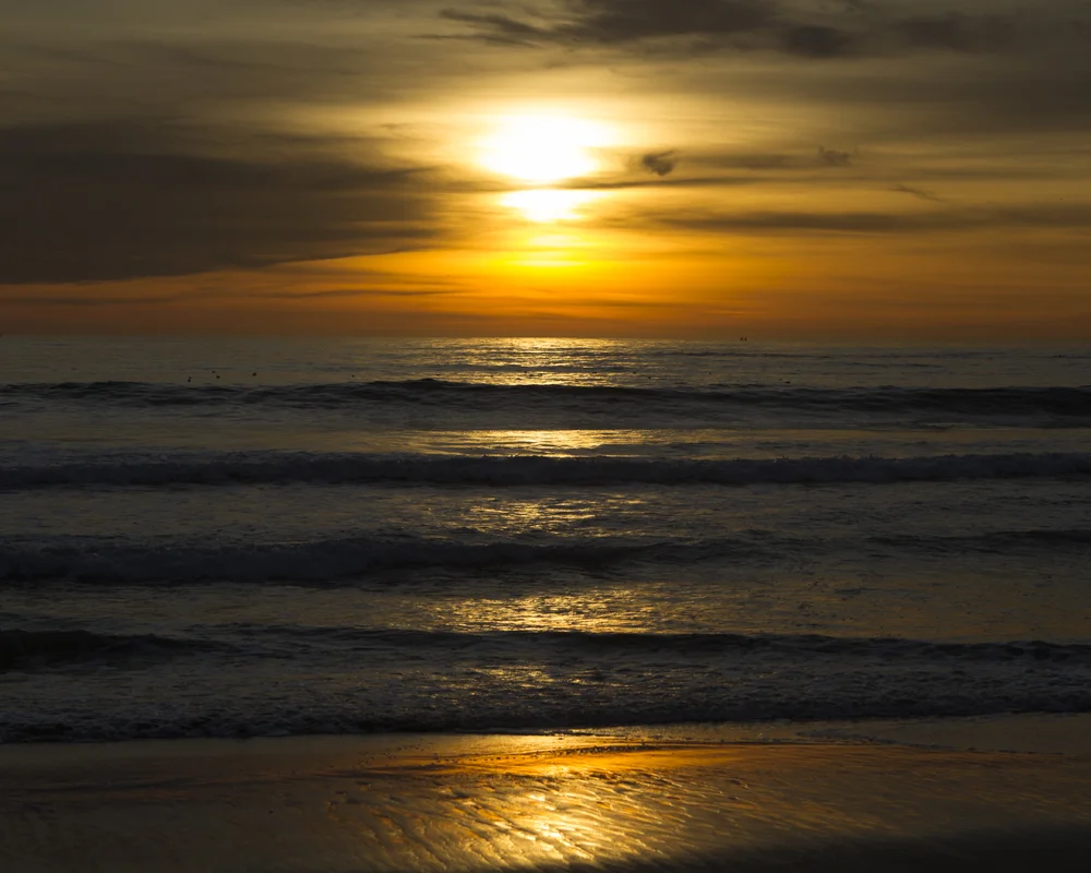 Golden Sunset 8x10 1000px.jpg