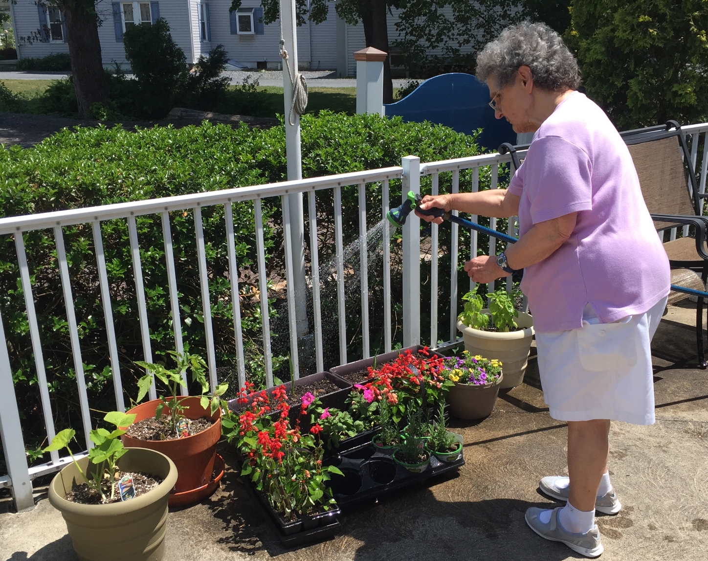 Summer gardening